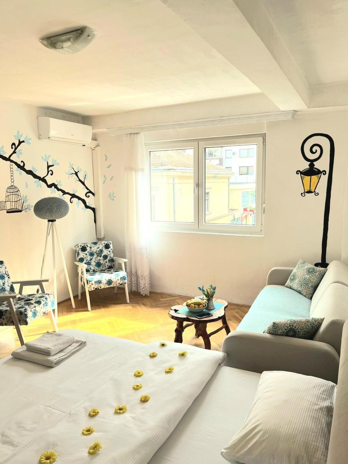 Center Apartment Visegrad