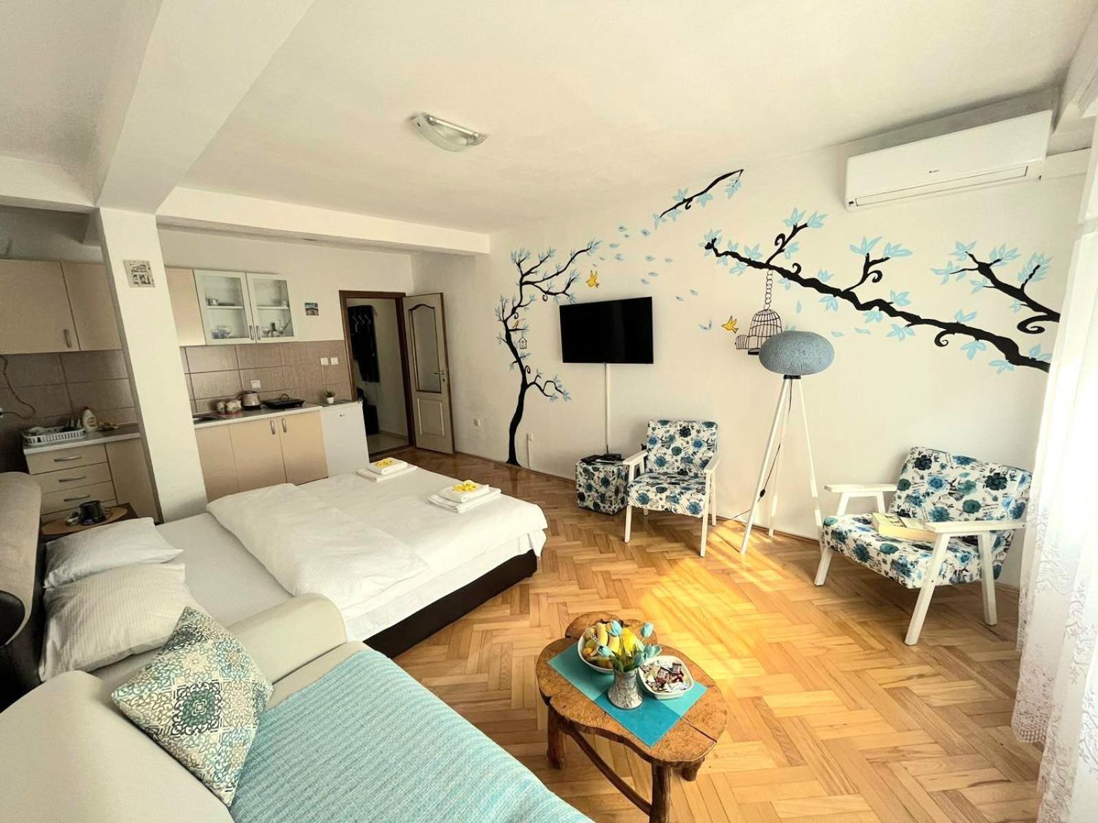 Center Apartment Visegrad